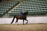 R319_MonAM_1167