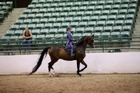 R319_MonAM_1169