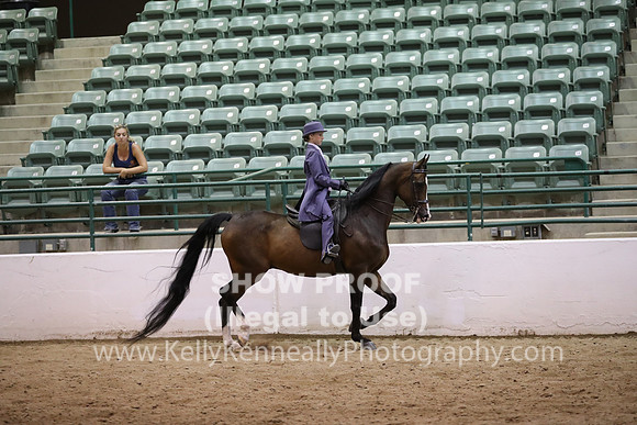 R319_MonAM_1169