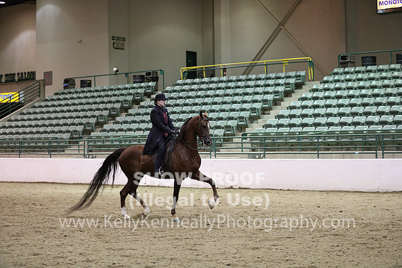 R319_MonAM_1170