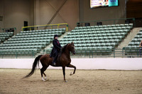 R319_MonAM_1171