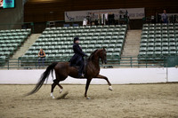 R319_MonAM_1172