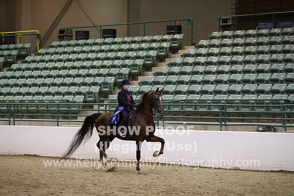 R319_MonAM_1153