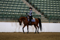 Class 227 Reg 3 Arabian Western Pleasure Championship JOTR 18 yrs & Under