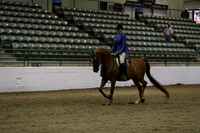 Class 229 Reg 3 Arabian Hunter Pleasure Championship AATR 19 yrs/Over