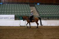 Class 230 Reg 3 Arabian Western Pleasure Championship Junior Horse 5yrs/Under