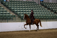 Class 231 Reg 3 HA/AA Country English Pleasure Championship JTR Select