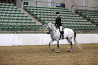 Class 233 Reg 3 Arabian Hunter Pleasure Championship Geldings