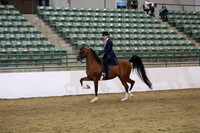 R319_WedPM_6878