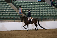 Class 238 Reg 3 Hunter Seat Equitation Not to Jump Championship AATR 19yrs/Over
