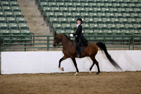 Class 240 Reg 3 Saddle Seat Equitation Championship JTR 18 yrs& under