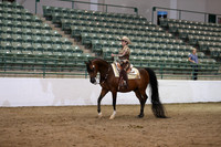 Class 241 Reg 3 Arabian Western Pleasure Championship AATR Primetime