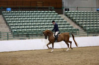 Class 801 Reg 3 Futurity Arabian Hunter Pleasure Maturity 5 yrs & Under