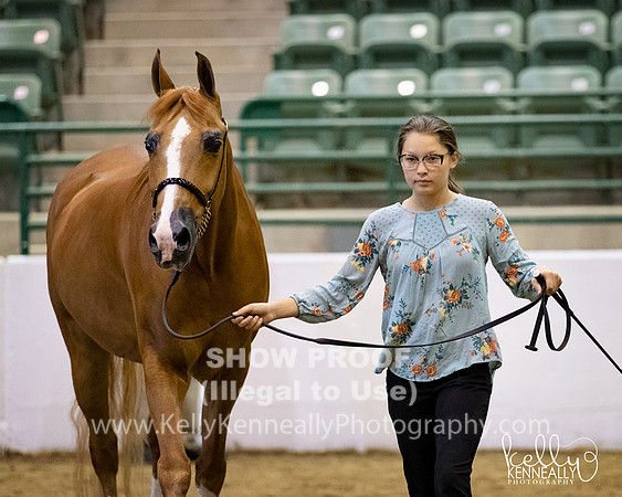 R319_MonAM_0756