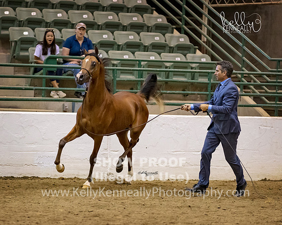 R319_MonAM_0797