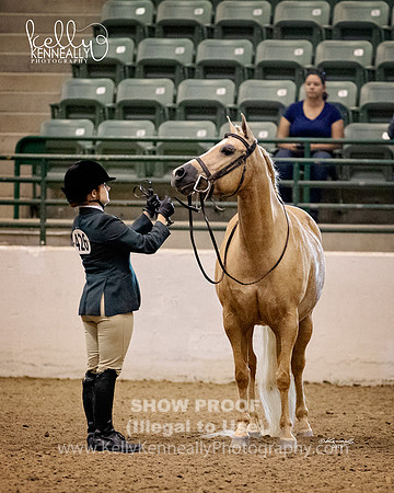 R319_MonAM_0035
