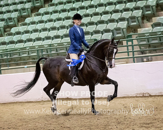 R319_MonAM_1093