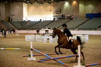 Class 243 - 246 Region 3 Arabian HA/AA English Trail Horse Championship