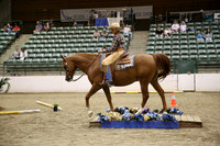 Class 247 - 255 Region 3 Arabian HA/AA Western Trail Horse Championship