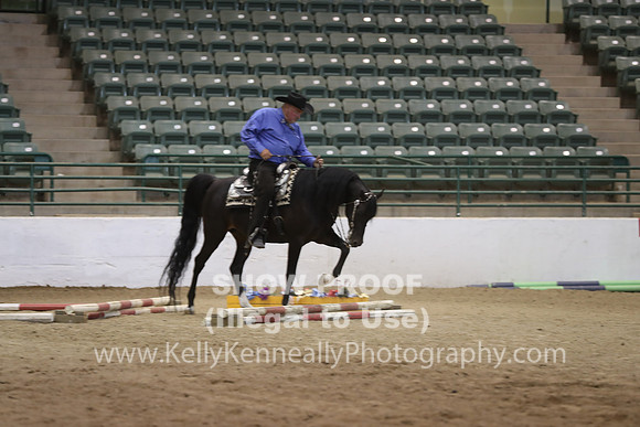 R319_ThursAM_7457