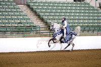 Class 256 Region 3 HA/AA Mounted Native Costume Championship
