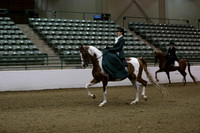 Class 258 Region 3 HA/Aa Ladies SideSaddle Championship ATR