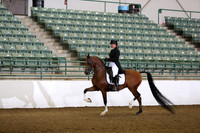 Class 259 Region 3 Arabian English Show Hack Championship