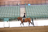 Class 261 Region 3 A/HA/AA Walk Trot Hunter Seat Equitation Championship 10/Under