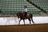 Class 803 Region 3 FUTURITY Arabian Western Pleasure Maturity 5 Yrs & Under