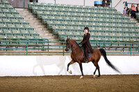 Class 262 Region 3 Arabian Country English Pleasure Championship JTR 18/Under