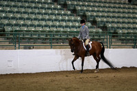 Class 265 Region 3 Arabian Hunter Pleasure Championship JTR 18 /Under