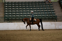 Class 267 Region 3 Arabian Western Pleasure Championship AATR Select