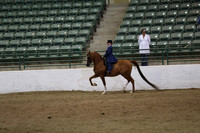 R319_ThursPM_8651