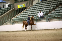 R319_ThursPM_8671