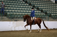 Class 805 Region 3 FUTURITY Arabian Hunter Pleasure Maturity 5 Yrs/Under ATR