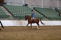 R319_ThursPM_8733