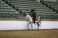 Class 272 Region 3 Arabian Western Pleasure Championship JTR 18 yrs & under