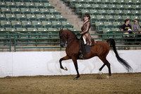 R319_ThursPM_8825