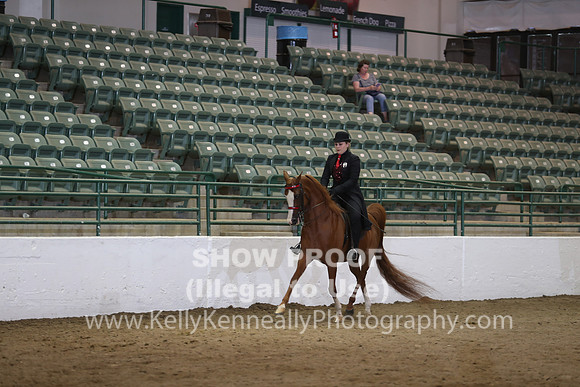 R319_ThursPM_8858