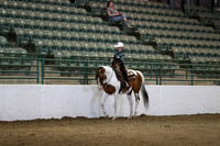 Class 270 Region 3 HA/AA Western Pleasure Championship JTR Select