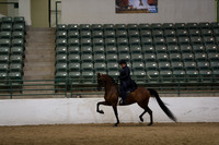 Class 273 Region 3 HA/AA Country English Pleasure Championship Junior Horse 5/Under