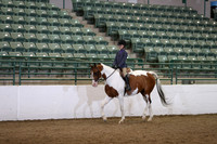 Class 274 Region 3 HA/AA Junter Pleasure Championship JTR Select