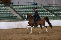 R319_ThursPM_9096