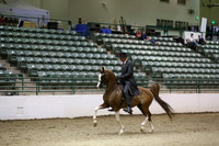 R319_ThursPM_9098