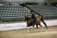 R319_ThursPM_9100