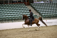 R319_ThursPM_9101