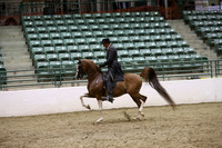 R319_ThursPM_9102