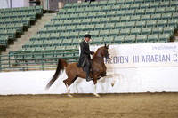 R319_ThursPM_9105