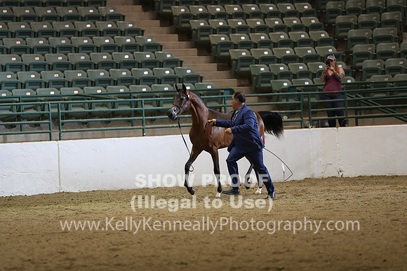 R319_WedAM_5375