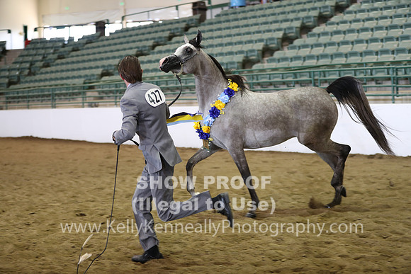 R319_WedAM_5511